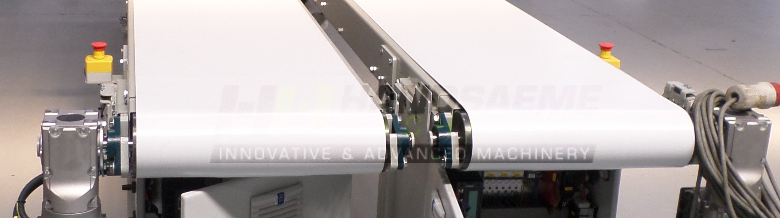 Custom conveyor belt